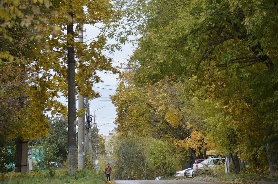 Погода в тулелесегодня. Атмосферное в туле сегодня. Атмосферное в туле сегодня. Метеопредупреждение картинки зимние. Атмосферное в туле сегодня.