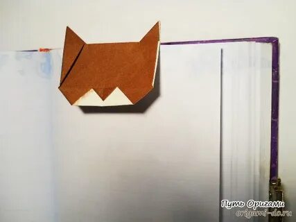 Закладка котик видео