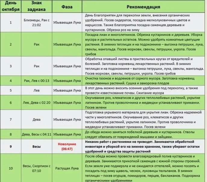 Какого числа можно посадить
