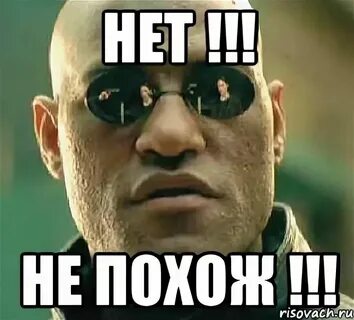 Мне попалась какая то неторная заросшая