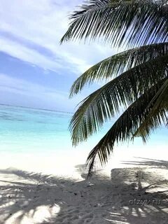 Holiday island