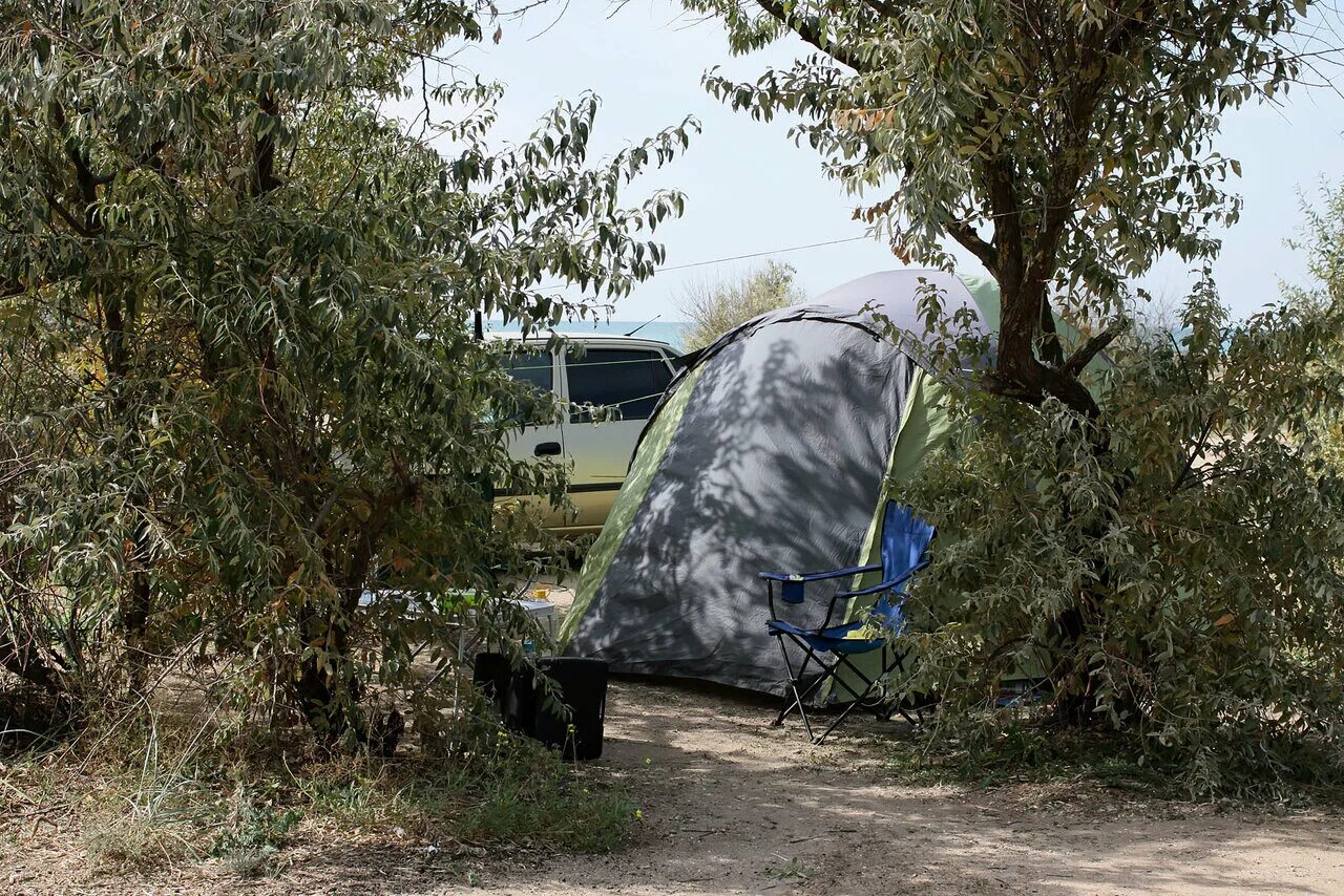 Camping club. Кемпинг Маистра Крым. Кемпинг Маистра Крым Новофёдоровка. Автокемпинг "Эдельвейс" Коктебель. Маистра кемпинг клуб в Крыму.