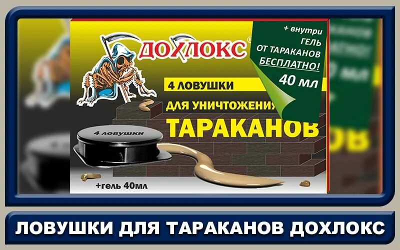 Дохлокс от тараканов инструкция по применению. Ловушки для тараканов дохлокс. ловушка дохлокс для животных. средства от тараканов дохлокс ловушка. как поставить ловушка для тараканов дохлокс.