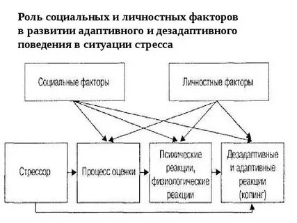 Факторы личностного поведения