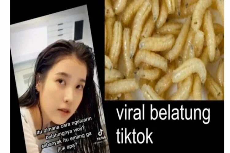 Yg lagi viral 2024