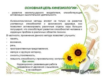 Обучение кинезиологии