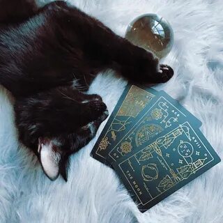Гадать котенка