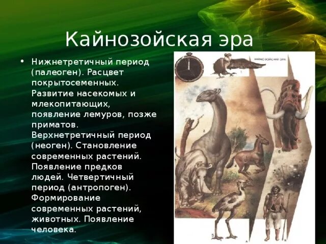 В какой эре появился человек на земле. В какой эре появился человек на земле