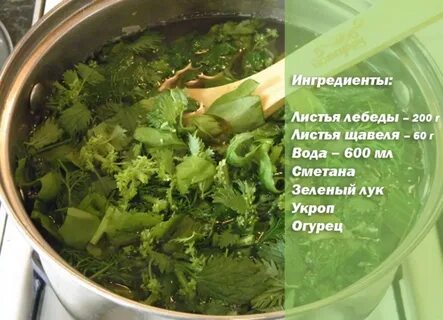 Лебеда рецепты