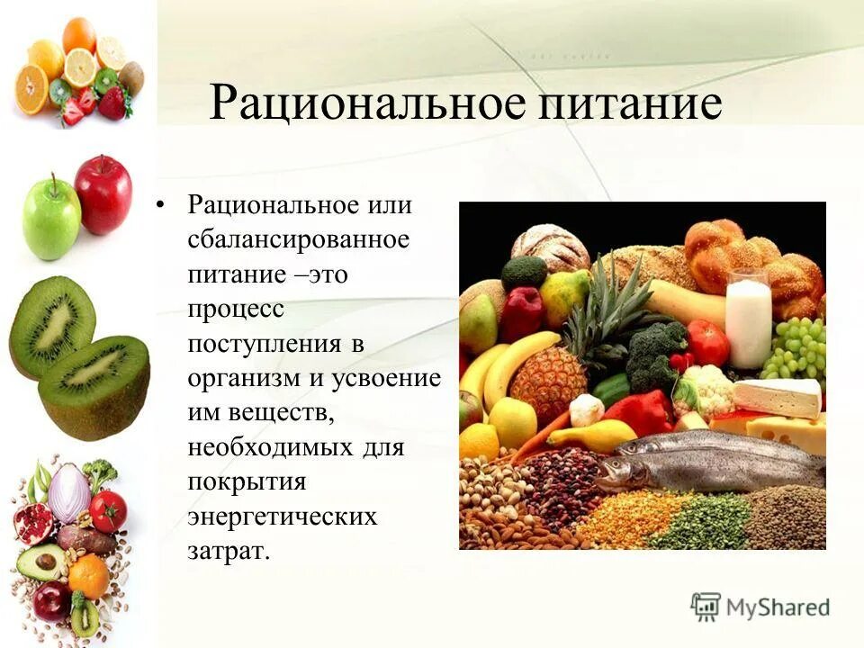 основы рационального питания реферат. понятие рационального питания. сообщение основы рационального питания. основы рационального питания. памятка по вопросам рационального питания.
