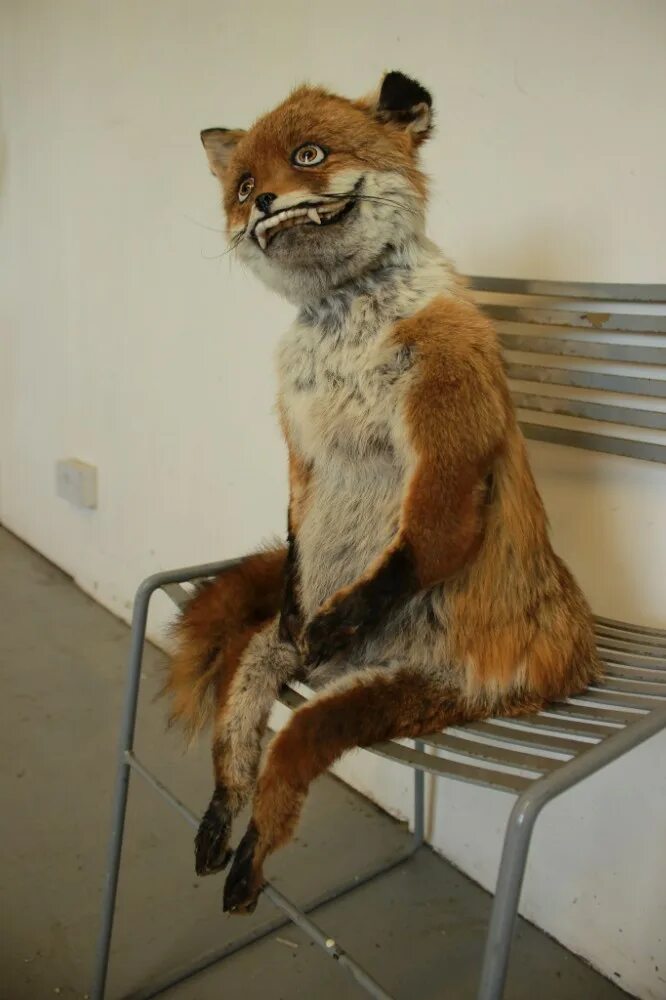 Яснов чучело мяучело. Чучело мяучело книга. Текст песни чучело мяучело. Чучело мяучело текст. Чучело мяучело читать сказку.