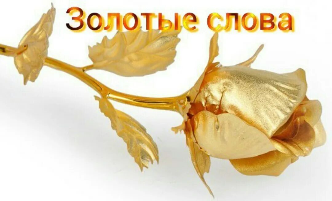 золотые слова золотые. красивые слова. золотые слова картинки прикольные. правильно золотые слова. правильно золотые слова.
