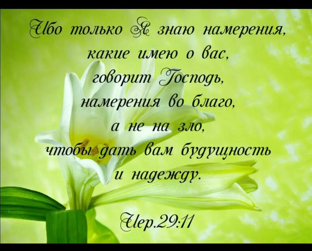 Добрые стихи христианские. Христианские открытки с Цитатами из Библии. Стихи из Библии в пожелание. Христианские стихи открытки. Красивый стих из Библии на день рождения.