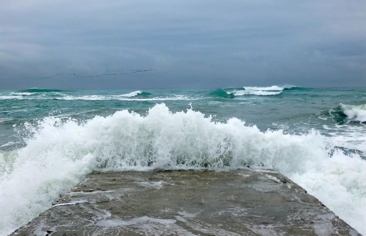 Почему закрыто море. Черное море Новороссийск. Широкая балка шторм. Штормящее море Новороссийск. Шторм в Новороссийске.