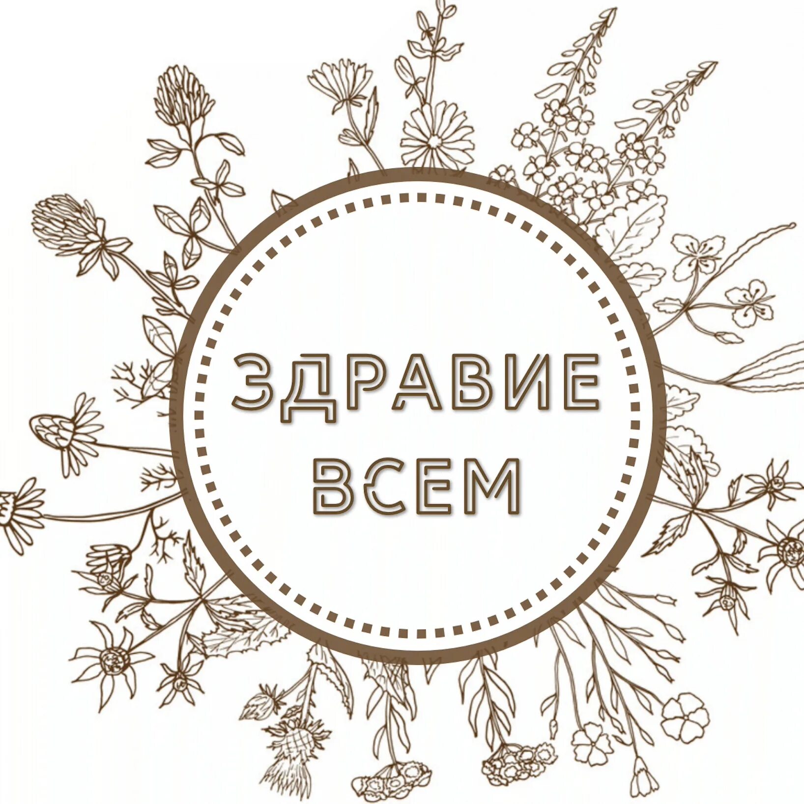 Доброго здравия. Всем здравия. доброго вам здравия. пожелания здравия.