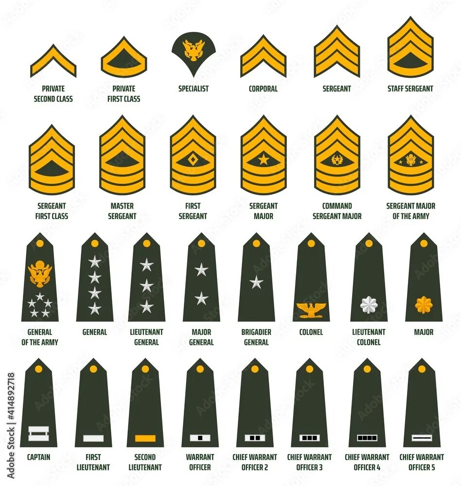 Us ranks. Шевроны армии США звания. Сержантские звания в армии США. Военные звания армии США. Погоны и звания в армии США.