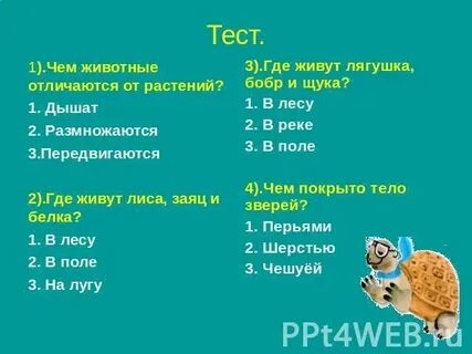 Тест по окружающему миру 3 животные