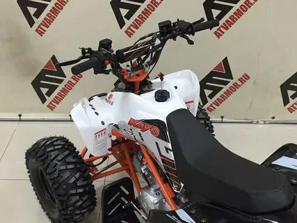 Kayo 2019