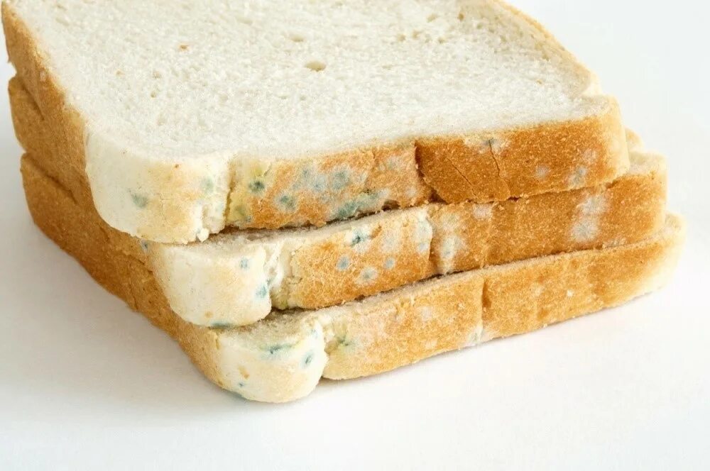 Хлеб без плесени. Плесень на хлебе. Белая плесень на хлебе. Плесневение хлеба. Батон с плесенью.