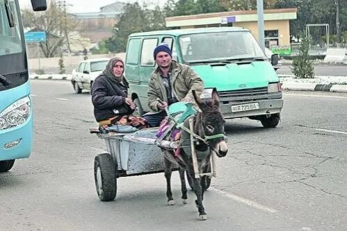Погода ишаки на неделю. Парень на ишаке. Погода ишаки на неделю. Ишак арба. Ишак на дороге.