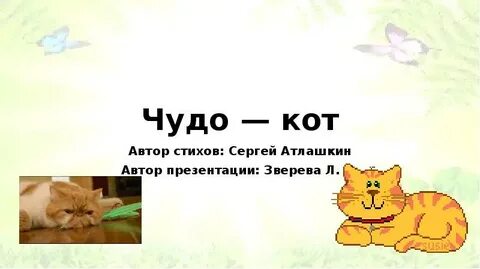 Чудо кот слушать