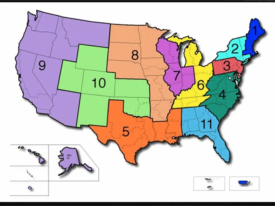 Districts Court in USA Map. Circuit Court us. District Court and circuit Court схема. Map of us Federal Court Districts. State district