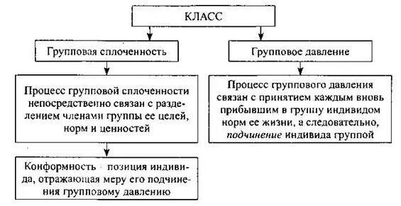 Приведите пример групповой сплоченности. Групповая сплоченность. Групповая сплоченность и конформное поведение. Групповая сплоченность схема. План групповая сплоченность и конформное поведение.