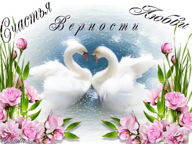 Анимационные лебеди. Гиф семейной паре. Гиф семейной паре. Открытка с днем свадьбы с лебедями. Открытка семейного счастья и любви.