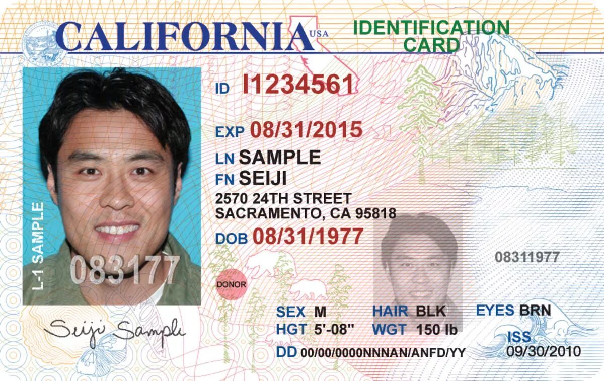 Ids license. Американский ID Card. ID карта USA.