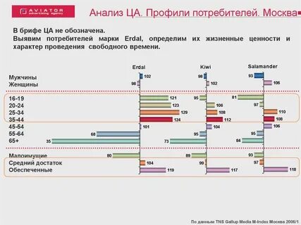 Аудитория рекламной кампании