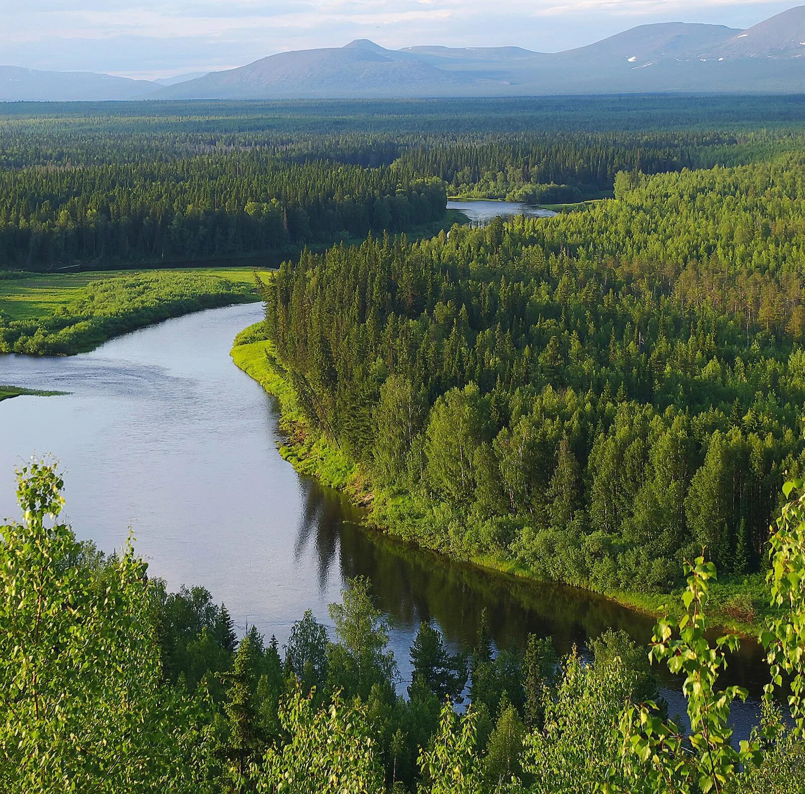River republic. Устье реки печоры. Исток реки печора. River republic. Река щугор республика коми.