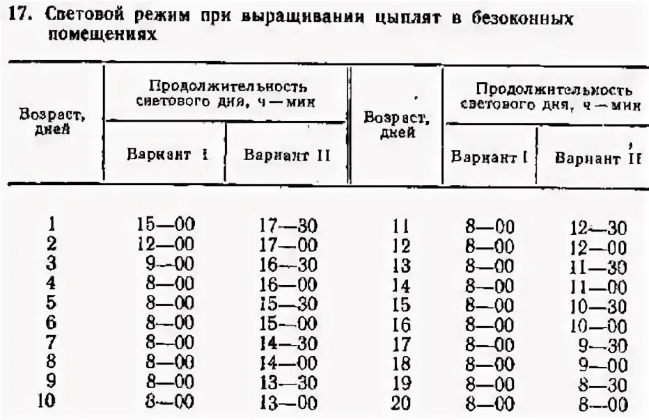 Нужно ли цыплятам ночью свет. Таблица освещения для цыплят бройлеров. Световая таблица выращивания бройлеров. Продолжительность светового дня для цыплят бройлеров. Таблица светового дня для цыплят несушек.