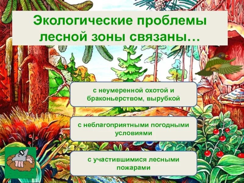 Экологические проблемы леса. Экологические проблемы зоны лесов. Какие экологические проблемы в зоне лесов. Охрана природы тайги. Экологические проблемы лесов.