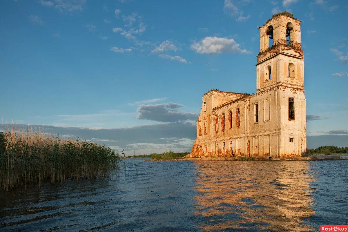 Рыбинское водохранилище домики. Затопленный храм Молога. Рыбинское водохранилище затопленный город Молога. Молога затопленный город Церковь. Полузатопленная Церковь на Рыбинском водохранилище.