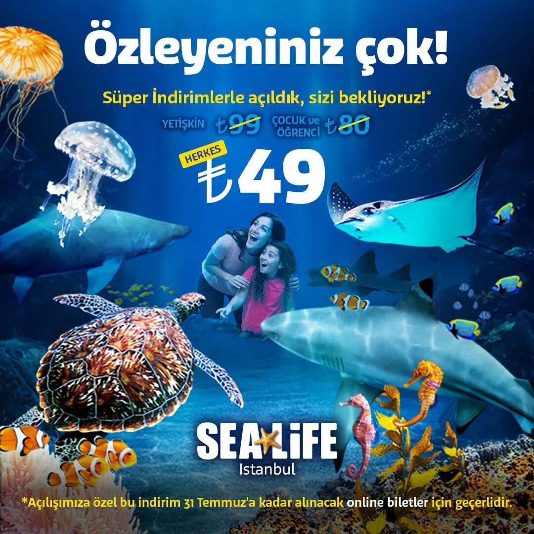 Океанариум в Стамбуле Sealife. Аквариум Sea Life Стамбул. Посещение океанариума Sea Life Istanbul. Sealife logo. Отзыв sea life