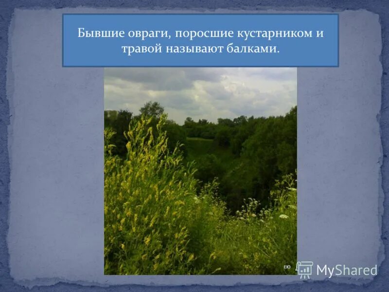 балка овраг. овраг. формирование оврагов и балок. овраг. балка овраг.