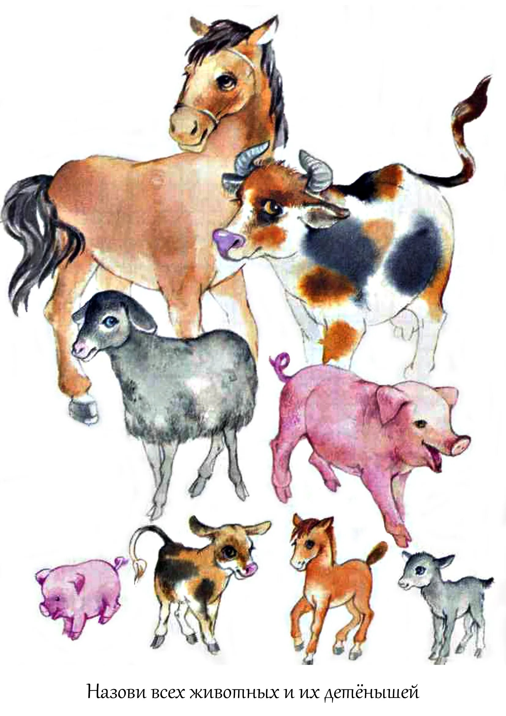 Иллюстрации домашних животных. Животные домашние животные. Домашние животные для детей. Иллюстрация домашние животные. Корова свинья собака кошка