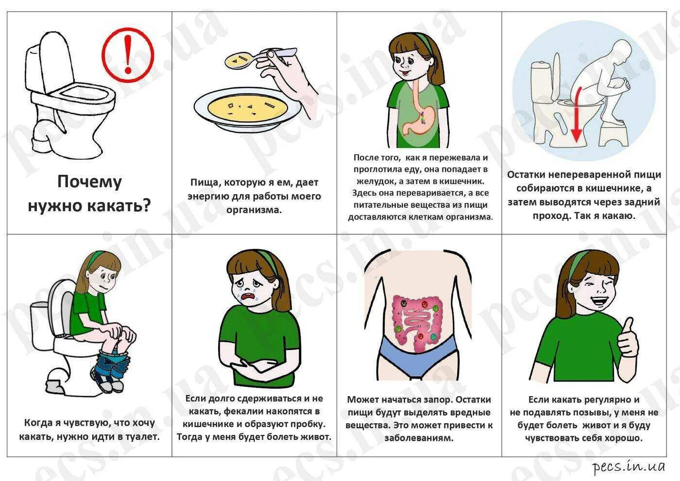 Не могу пописать первая помощь. Почему надо какать. Как сходить в туалет по большому. Как быстро сходить в туалет. Как сгодить втувалет побольшому.