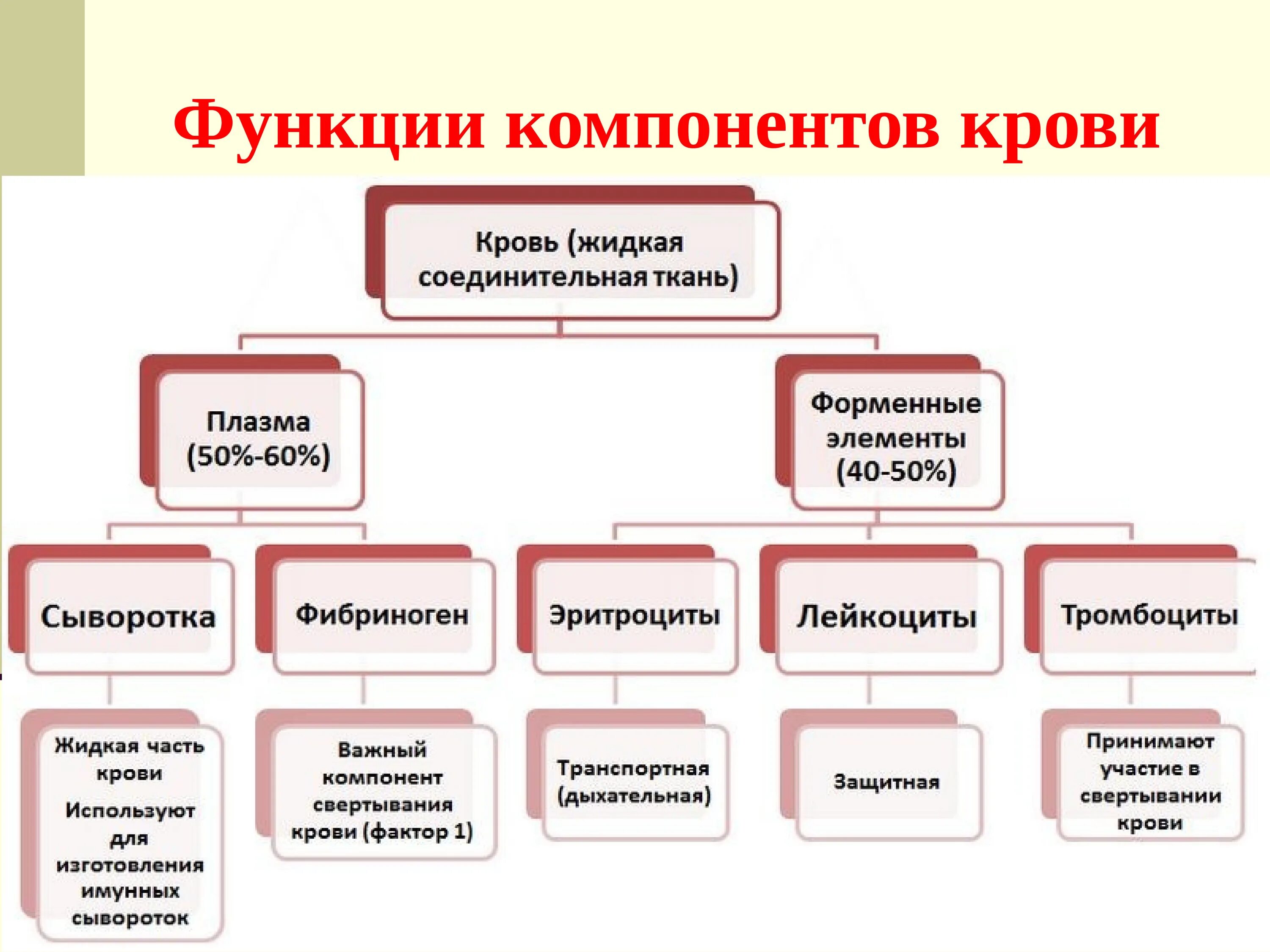 Кровь жидкая часть таблица. Функции крови схема. Схема составных частей крови. Функции составных элементов крови. Состав крови схема.