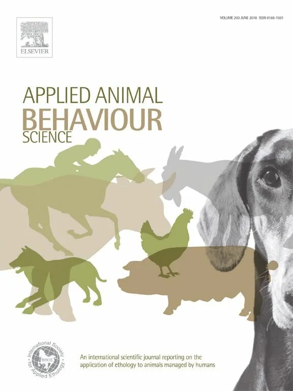 Animal behaviour. Animal behavior. animal behavior &amp; ethology veterinary congress 2022 сертификат. enriching the environment for dogs. animal behavior &amp; ethology veterinary congress 2022.