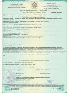 Фитосанитарный сертификат это