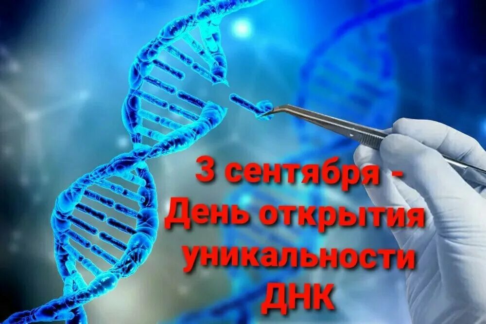 Днк 03.04 2024. 3 Сентября день уникальности ДНК. День открытия ДНК. Открыта уникальность ДНК — «генетические Отпечатки». ДНК фото.