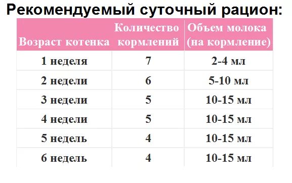 Сколько грамм смеси давать. Таблица кормления новорожденного котенка. Сколько молока давать новорожденному котенку. Сколько грамм молока нужно котенку. Сколько молока надо давать котенку.