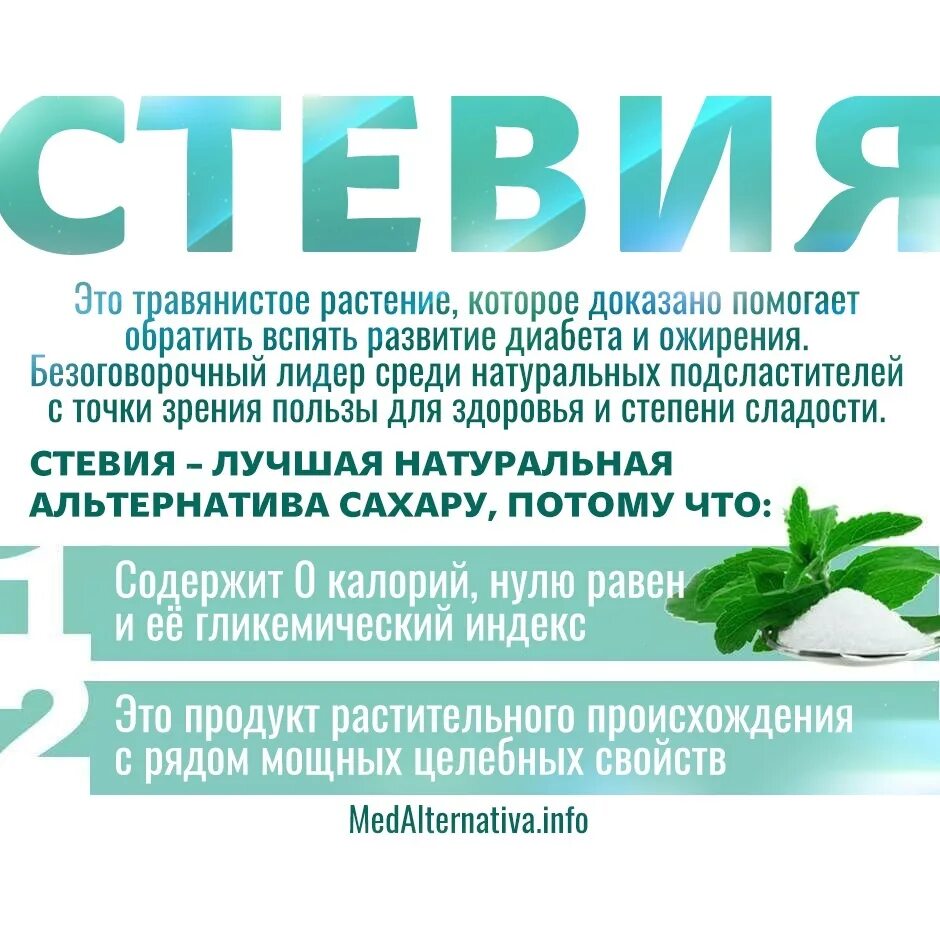 Полезный сахарозаменитель стевия. Польза и вред стевии. Стевия что это такое польза и вред. Польза стевии.