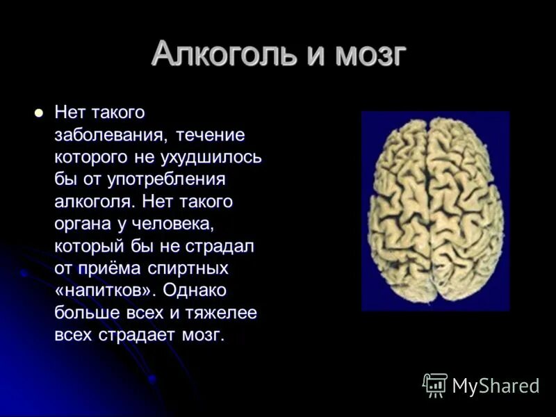 Головной мозг пьющего. Воздействие алкоголя на мозг. алкоголь и мозг человека. влияние алкоголя на головной мозг.