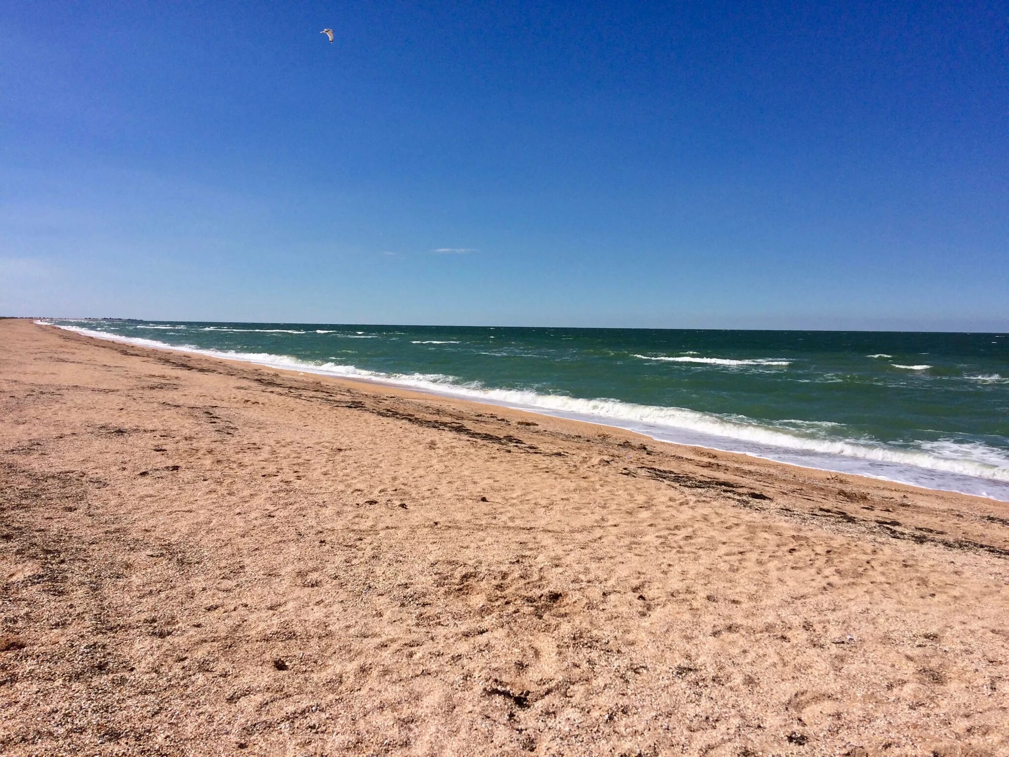 Азовское море азовская 13. Заводское на азовском море. Феодосия пляж баунти. Пересыпь пляж. Таганрогский залив таганрог.