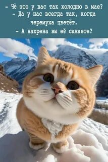 Так холодно