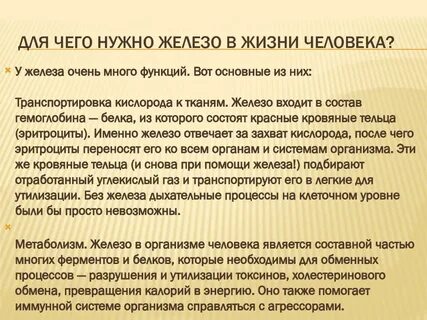 Железа в день