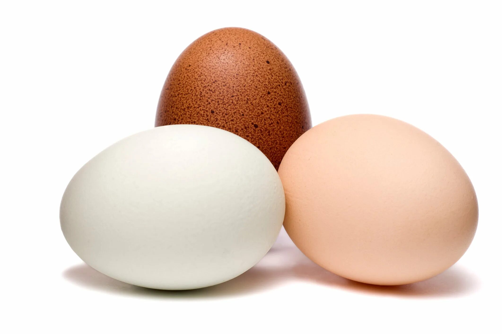 Яйцо. Яйцо куриное. Яйцо на белом фоне. Яйцо для детей. All eggs in sols rng
