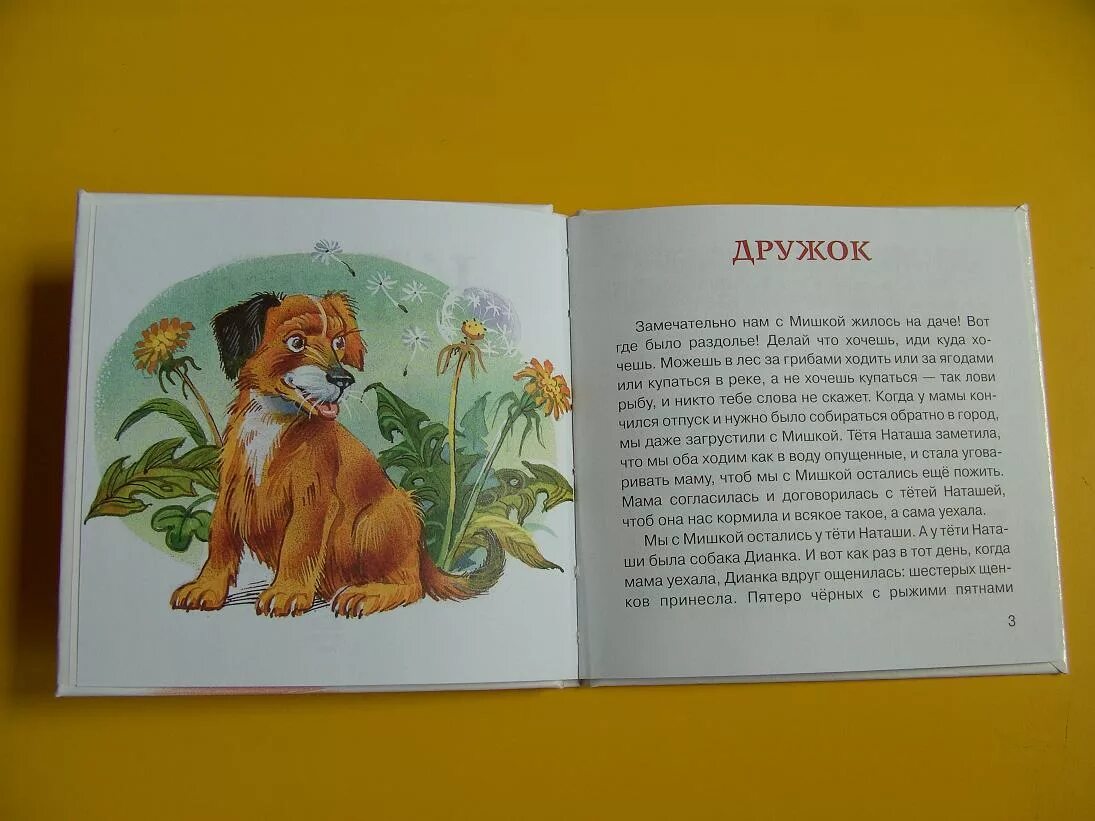 Барбоскины дружок. Семья барбоскиных дружок. Герои мультика барбоскины. Барбоскины дружок барбоскин. Дружок замечательный.